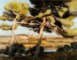 Tableaux Modernes & Peintres Provençaux