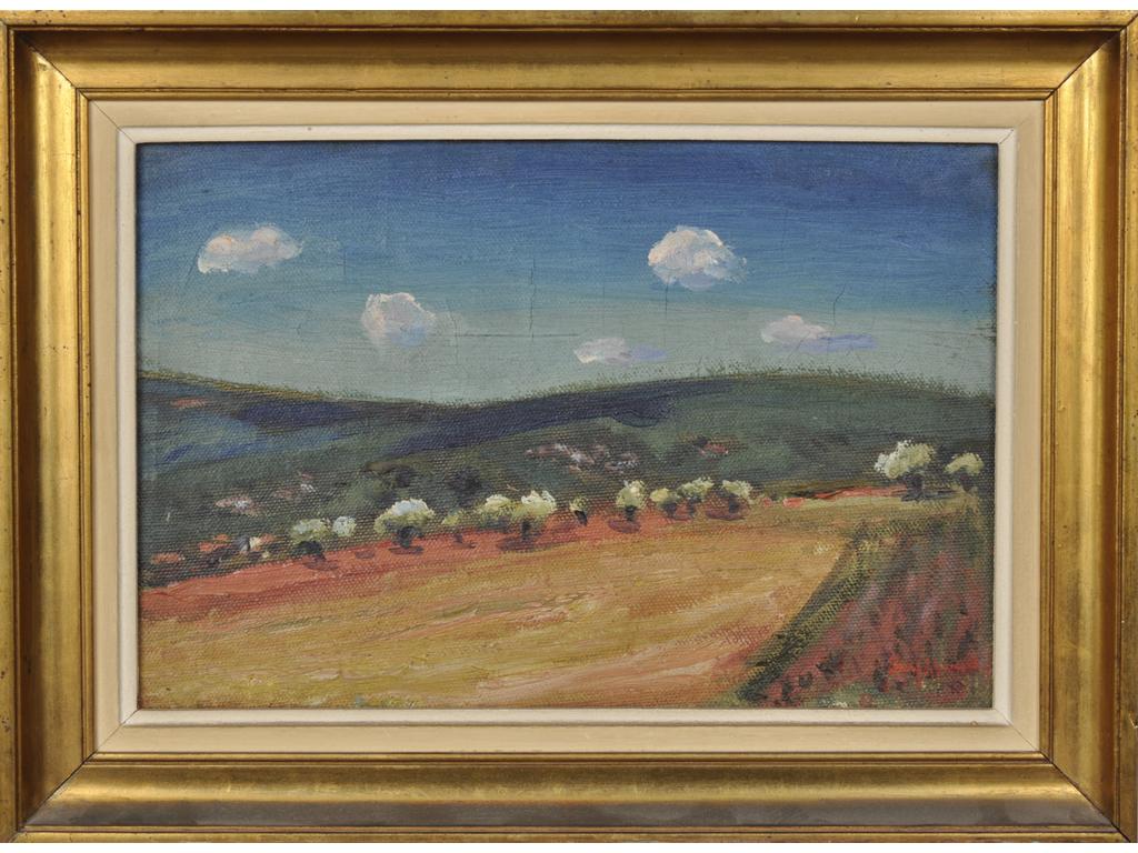 René SEYSSAUD (1867-1952) : Le champs d'oliviers. Huile sur toile signée en bas à droite. (Quelques craquelures). Dim : 27 x 41 cm.