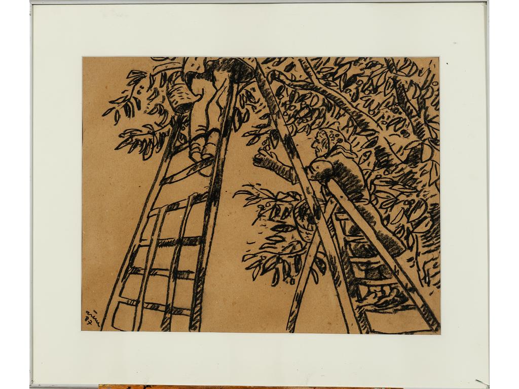 Jean ARENE (1929-2020) : Les olivades. Dessin au fusain signé en bas à droite et daté 87. (Vitre avec accident). Dim : 46 x 58 cm.