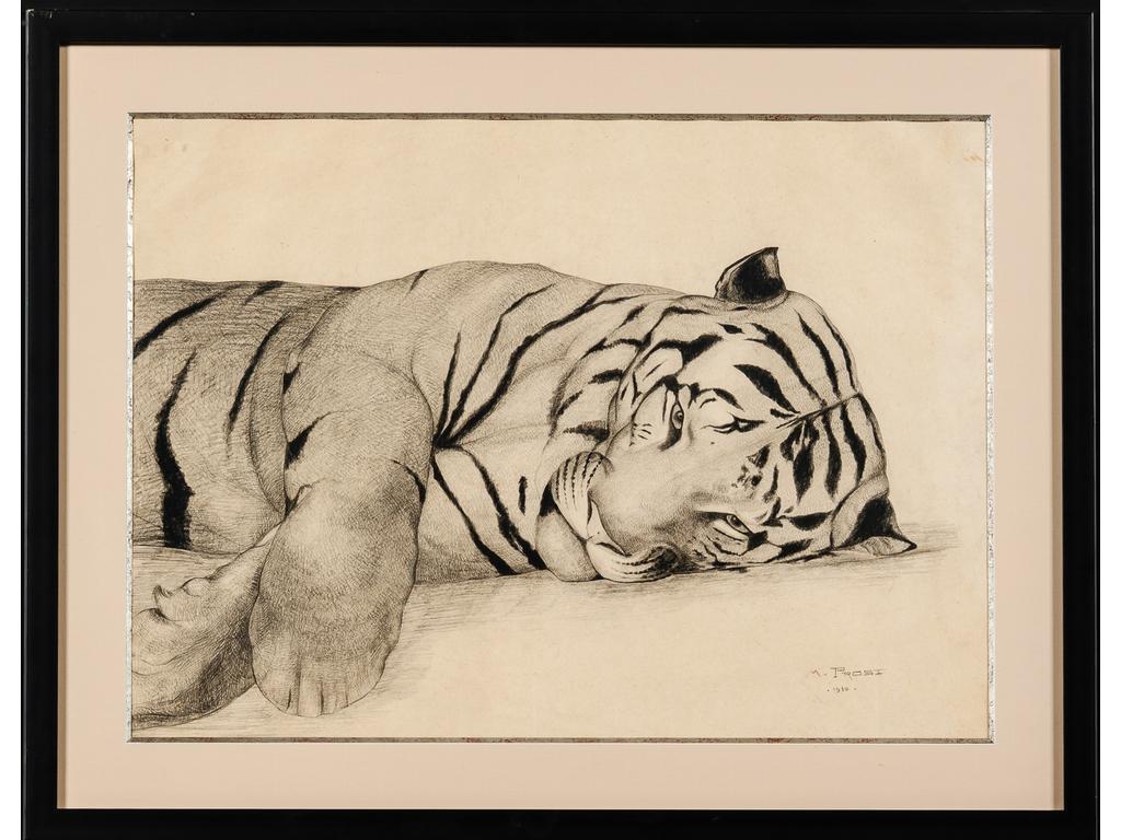 Maurice PROST (1894-1967) : Le tigre couché. Dessin à la mine de plomb et fusain. Signé en bas à droite et daté 1930. Dim : 45 x 62 cm.
