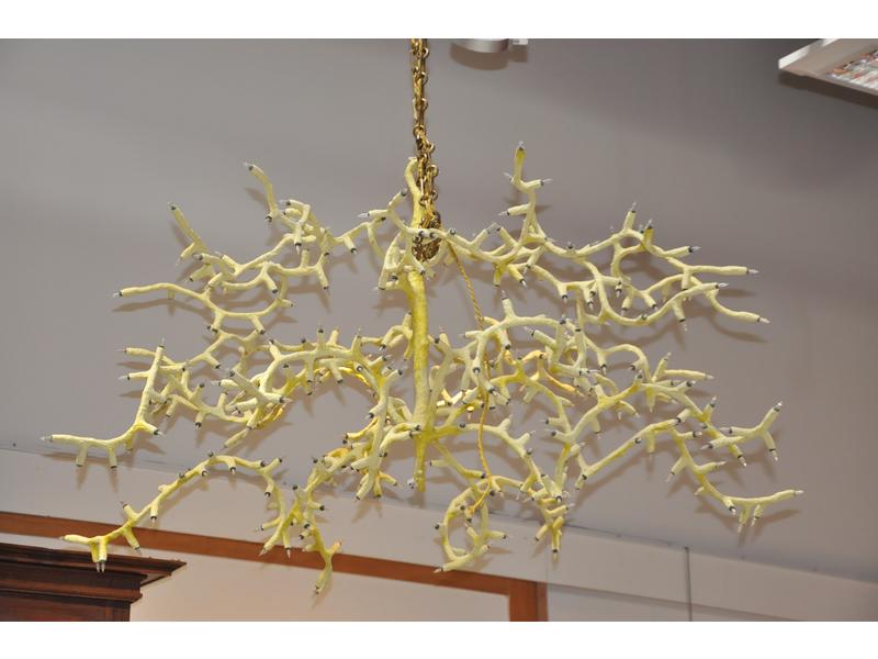 Lustre 