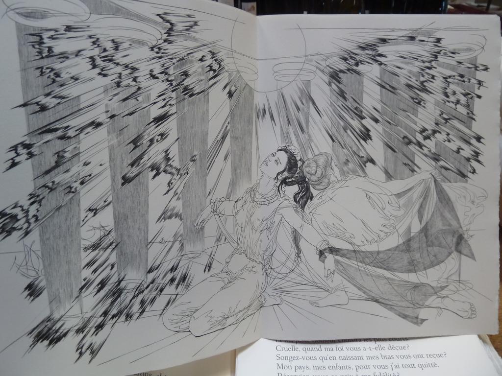 RACINE, Jean. (CARRANCE, Raymond) : Phèdre. Grenoble : Editions du Grésivaudan et Saint-Etienne : lartisan du livre dart, 1973. 1 volume in-folio en feuilles sous couvertures imprimées et rempliées. Chemise titrée au dos et étui toilés de léditeur. Illustré de 15 burins originaux dont 10 hors-texte et 5 à double page, de Raymond CARRANCE. Tiré à 275 ex. numérotés. 1 des 210 sur vélin dArches. Signature de lartiste à la justification. TRES BEL EXEMPLAIRE.