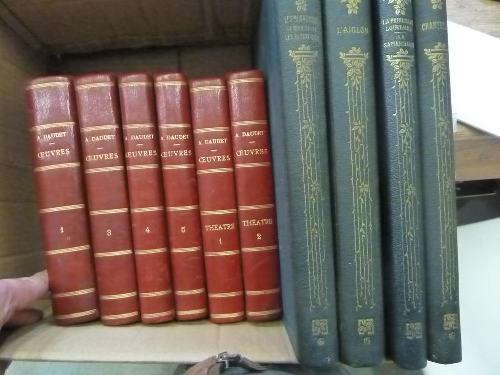 (Lot) 1 carton contenant : DAUDET : uvres. 6 volumes et ROSTAND : uvres. 4 volumes. (n.c.)