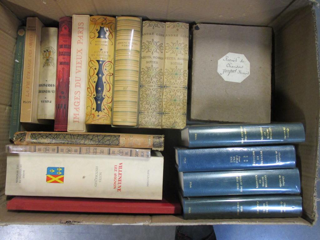 Ensemble de 28 ouvrages modernes dont Charles de GAULLE : Les mémoires de guerre 4ème édition NRF, Les images du vieux Paris illustré par Samson, Les aventures du Roi Pausole illustré par Touchet, les notes historique de Villeneuve les Avignon. 1 carton