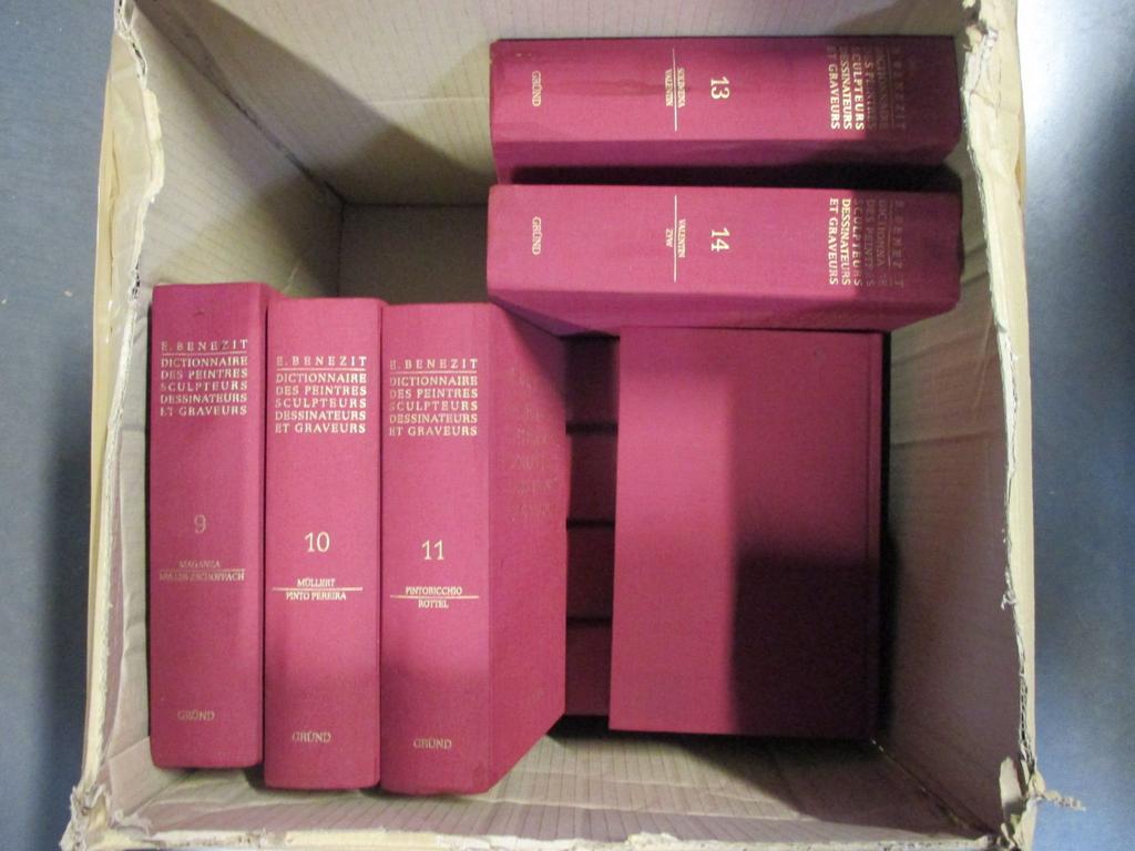 BENEZIT : Le dictionnaire des peintres, sculpteurs dessinateurs et graveurs. Edition de 1999. 14 volumes (traces d'humidité)