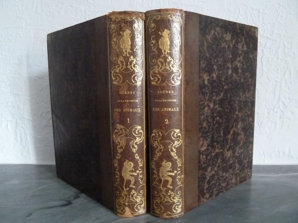 GRANDVILLE : Scènes de la vie privée et publique des animaux. Paris : Hetzel et Paulin, 1842. 2 volumes grand in-8°. Reliures de lépoque demi-veau bronze, dos lisses entièrement ornés darabesques romantiques de fers spéciaux de Grandville (singes déguisés). Illustré de 201 hors-texte gravés, dont frontispices et de nombreux in-texte de GRANDVILLE. Ouvrage qui renferme 4 nouvelles inédites de Balzac : - Les amours de 2 bêtes , - Les peines de cur dune chatte anglaise , - Le guide âne , - Le voyage dun lion dAfrique à Paris et une de Nodier : Les tablettes de la Girafe. De nombreuses remarques du 1er tirage (Carteret : III, 552). Dos frottés et craquelés. Rares rousseurs. Le chef duvre de Grandville et de léditeur Hetzel.