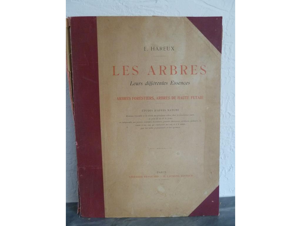 HAREAUX, Ernest : Les arbres. Leurs différentes essences. Arbres forestiers, arbres de haute futaie. Paris : Renouard et Laurens, 1902. Un volume in-folio en feuilles sous chemise demi-percaline lie de vin à coins de léditeur.  ESITION ORIGINALE bien complète de ses 32 planches sur Rives. Pour chacune des 16 essences, 2 planches (arbre dans un paysage et détails des feuilles, branches etc.) accompagnées dune page de texte explicatif. Ernest Hareux était peintre paysagiste (1847-1909). Quelques feuillets effrangés, usures à la chemise. BON EXEMPLAIRE, peu commun.