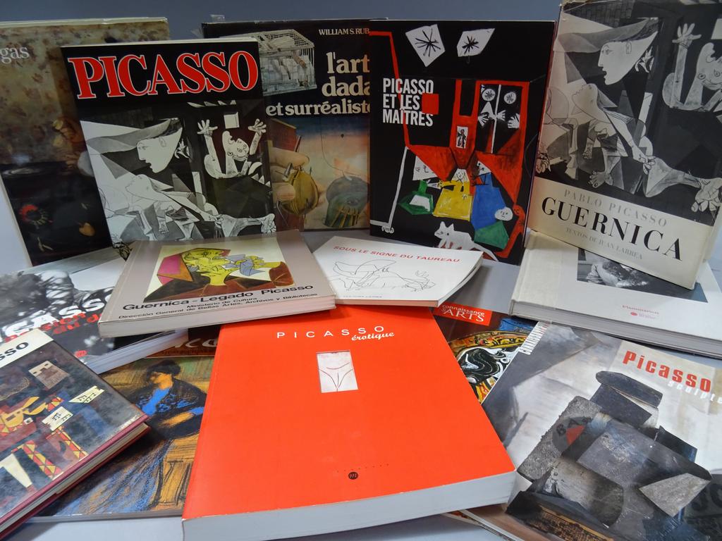DOCUMENTATION BEAUX-ARTS PICASSO ETC...
