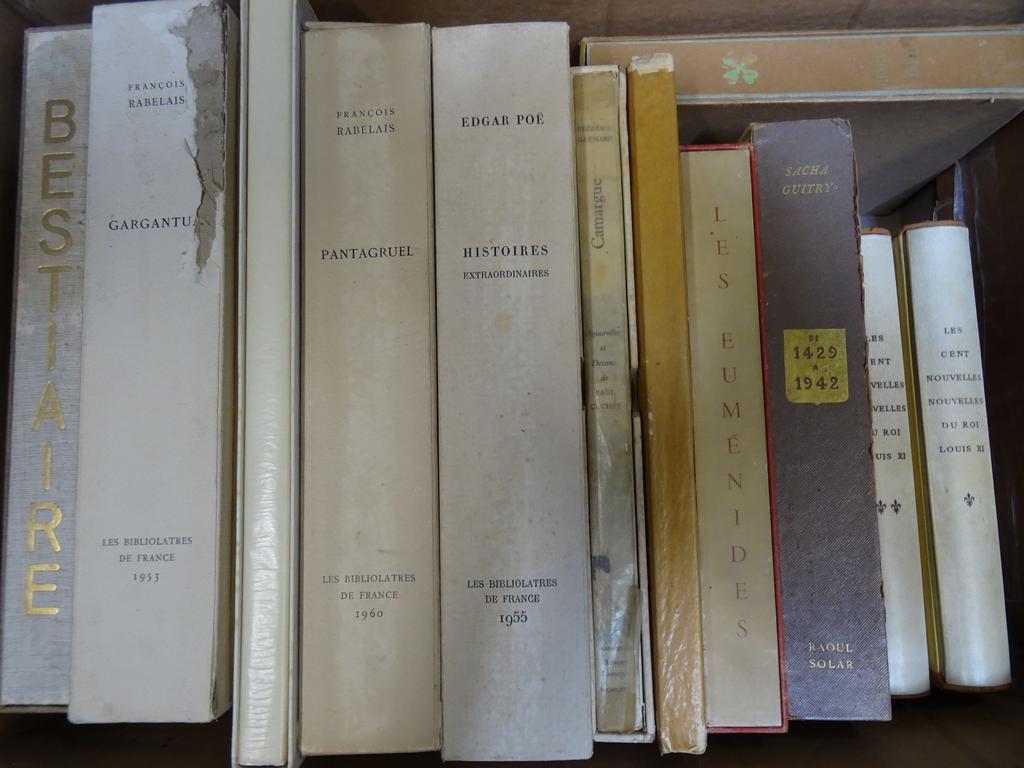 Ensemble de 13 volumes littérature en partie illustrée dont : Edgar POE : Histoires extraordinaires, Les Euménides illustré par Hertenberger, RABELAIS : Gargantua et Pantagruel, BAUDELAIRE illustré par Charlemagne... 1 carton.