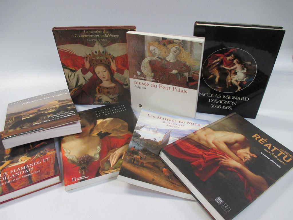 Ensemble de 8 volumes modernes sur les musées de la Région Provençale et Midi dont : Musée Fabre, Musée du Petit Palais, Musée Réattu etc...