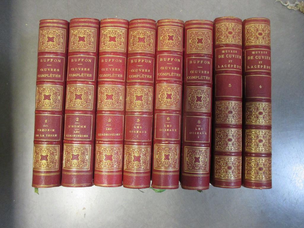 BUFFON et DE CUVIER : Ensemble de 8 volumes (Séries incomplètes)