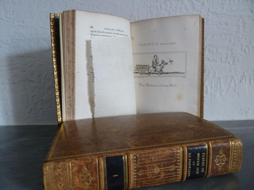 (LA FONTAINE) Fables inédites des XIIe, XIIIe et XIVe siècles et Fables de La Fontaine rapprochées de celles de tous les auteurs qui avaient, avant lui, traité les mêmes sujets. Paris : Cabin, 1825. 2 volumes in-8°. Reliures de lépoque plein veau marbré, dos à 4 nerfs sautés, ornés de filets, roulettes et fleurons romantiques dorés, pièces de titre te de tomaison en maroquin noir, double filet doré en encadrement des plats, filet doré ondulé sur coupes, belle roulette dorée sur chasses, toutes tranches dorées. Reliure signée (nom illisible). Premier tirage du portrait de La Fontaine gravé par Cathelin d'après Rigaud et bien complet de ses 89 jolies et curieuses figures hors-texte gravées en taille douce par Paul Legrand (et non 90 comme annoncé 43 + 46 avec les bis, et 2 fac-similés sont comptés dans la numérotation). 4 fac-similés d'écriture dont un dépliant. Bel ex-libris monogrammé sur contreplat. Quelques frottis, rousseurs éparses. BON EXEMPLAIRE, peu commun.