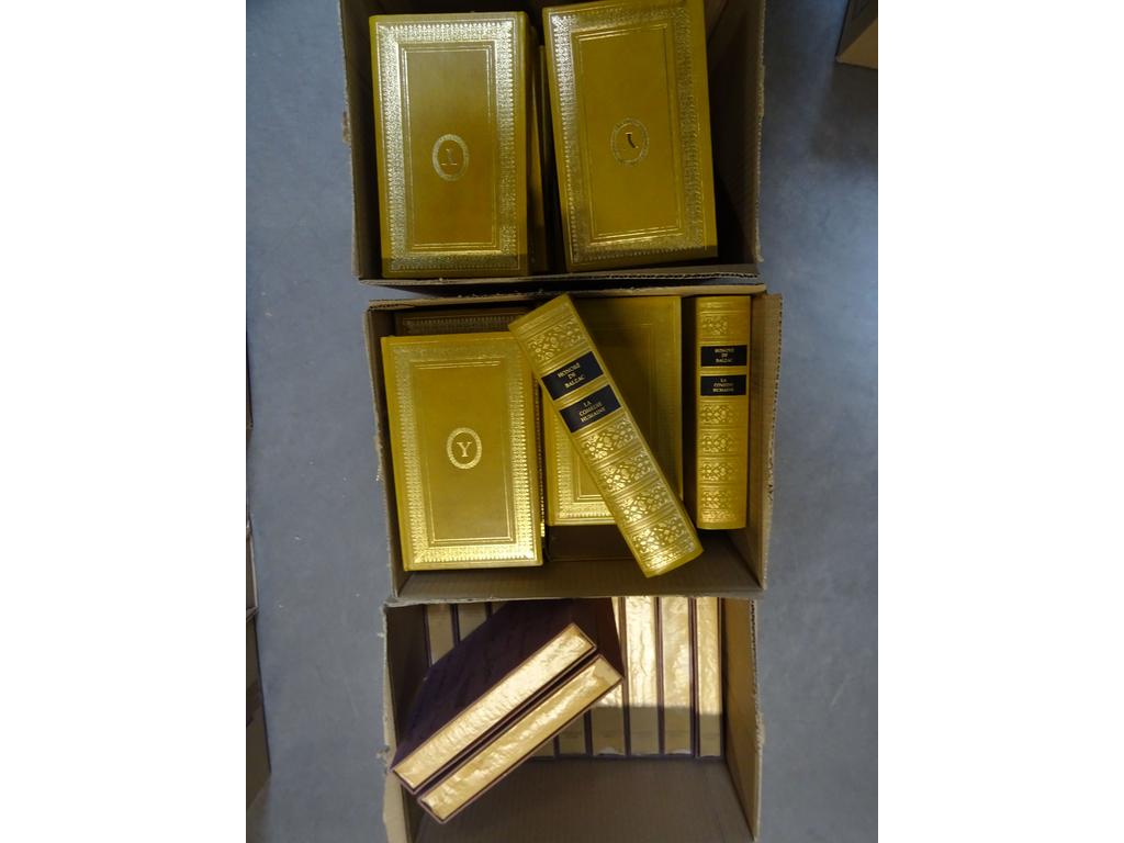 Littérature XIXème et XXème siècles dont La Comédie Humaine de BALZAC aux éditions Rencontres, 12 volumes de divers auteurs aux éditions Sauret et la collection des Grands Prix des meilleurs romans étrangers. En tout 3 cartons