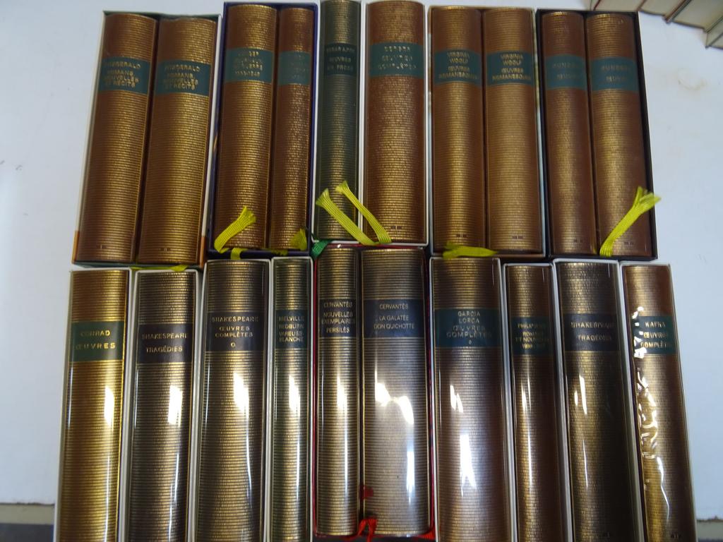 LA PLEIADE : 20 volumes de littérature étrangère dont Américaine, Anglaise et Espagnole.