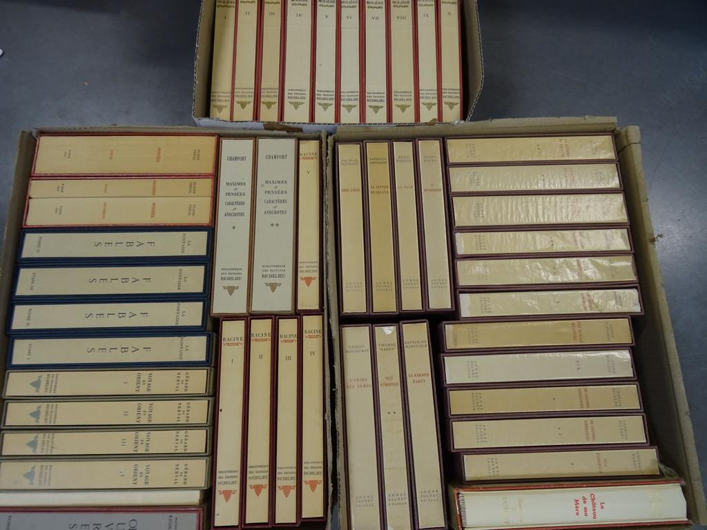 Ensemble d'environ 50 ouvrages sous emboîtage dont : MOLIERE, RACINE, Les Grands prix des Romans Etrangers, PAGNOL : le château de ma mère illustré par Dubout, Les Fables de La Fontaine illustrées par Chièze. Editions Sauret et Richelieu. En tout 3 cartons